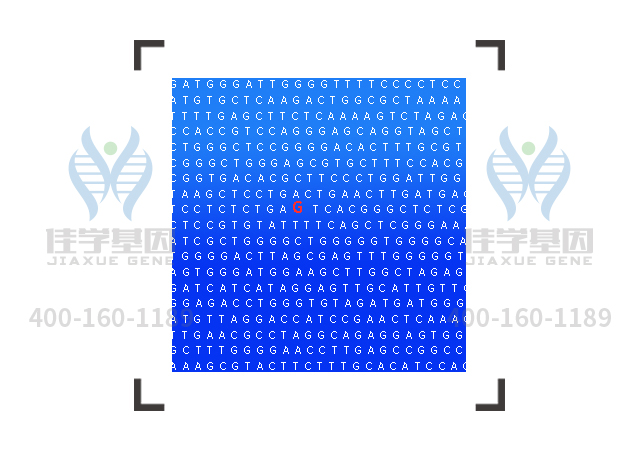 <b>【佳学基因检测】哪儿可以做鳃-耳肾综合征基因检测？</b>